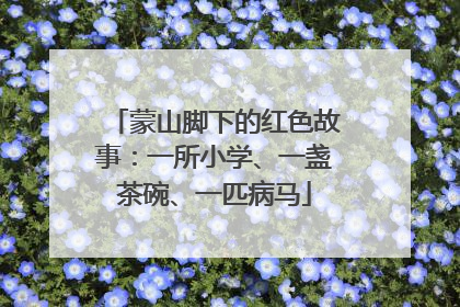 蒙山脚下的红色故事：一所小学、一盏茶碗、一匹病马