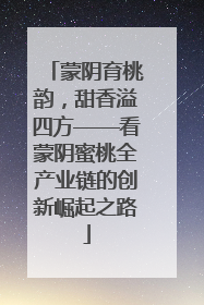 蒙阴育桃韵，甜香溢四方——看蒙阴蜜桃全产业链的创新崛起之路