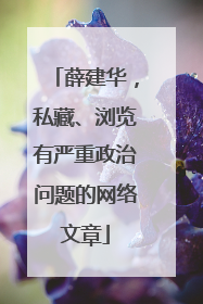 薛建华，私藏、浏览有严重政治问题的网络文章