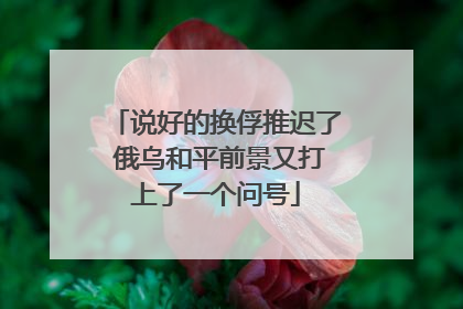 说好的换俘推迟了 俄乌和平前景又打上了一个问号