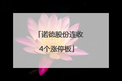 诺德股份连收4个涨停板