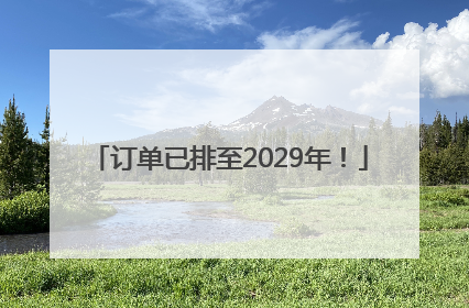 订单已排至2029年！