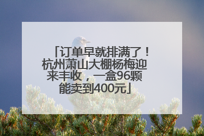 订单早就排满了！杭州萧山大棚杨梅迎来丰收，一盒96颗能卖到400元