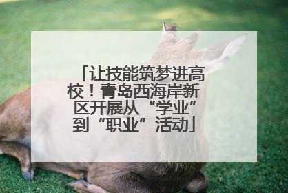 让技能筑梦进高校！青岛西海岸新区开展从“学业”到“职业”活动
