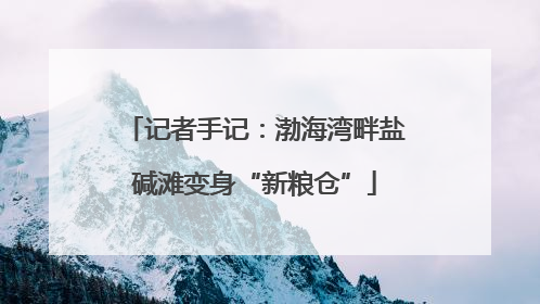 记者手记：渤海湾畔盐碱滩变身“新粮仓”