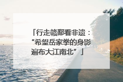 行走赣鄱看非遗：“希望岳家拳的身影遍布大江南北”
