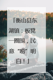 衡山县东湖镇：板凳一圈围，民意“唠”明白！