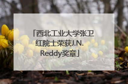 西北工业大学张卫红院士荣获J.N.Reddy奖章