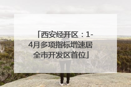 西安经开区：1-4月多项指标增速居全市开发区首位
