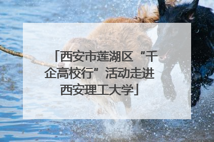 西安市莲湖区“千企高校行”活动走进西安理工大学