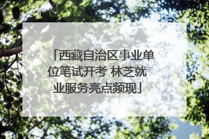 西藏自治区事业单位笔试开考 林芝就业服务亮点频现