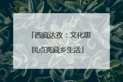 西藏达孜：文化惠民点亮藏乡生活