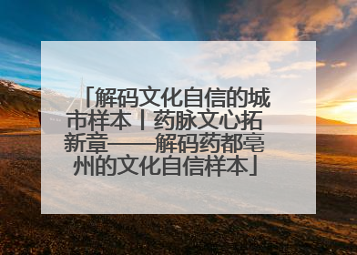 解码文化自信的城市样本丨药脉文心拓新章——解码药都亳州的文化自信样本