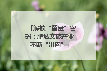 解锁“留量”密码：肥城文旅产业不断“出圈”