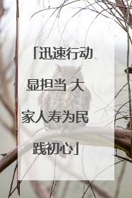 迅速行动显担当 大家人寿为民践初心