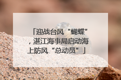 迎战台风“蝴蝶”，湛江海事局启动海上防风“总动员”