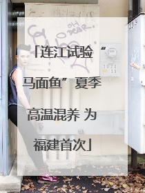 连江试验“马面鱼”夏季高温混养 为福建首次