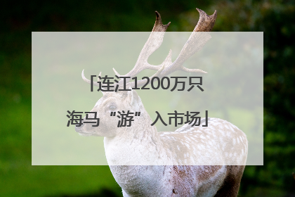 连江1200万只海马“游”入市场