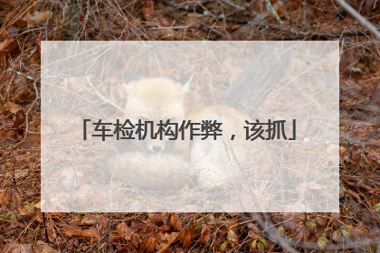 车检机构作弊，该抓