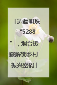 边疆明珠“5288”，烟台援藏解锁乡村振兴密码