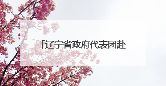 辽宁省政府代表团赴韩国开展十五冬冰雪产业主题推介活动
