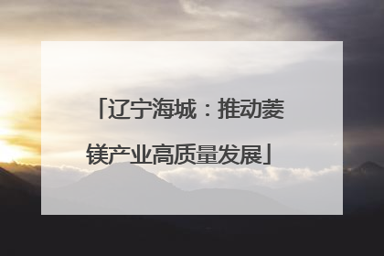 辽宁海城：推动菱镁产业高质量发展