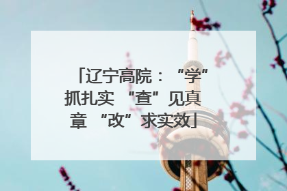 辽宁高院：“学”抓扎实 “查”见真章 “改”求实效