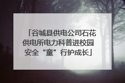 谷城县供电公司石花供电所电力科普进校园安全“童”行护成长
