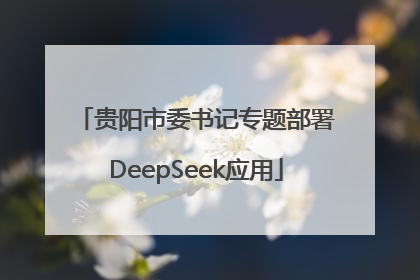 贵阳市委书记专题部署DeepSeek应用