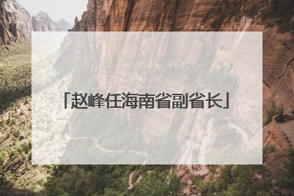 赵峰任海南省副省长