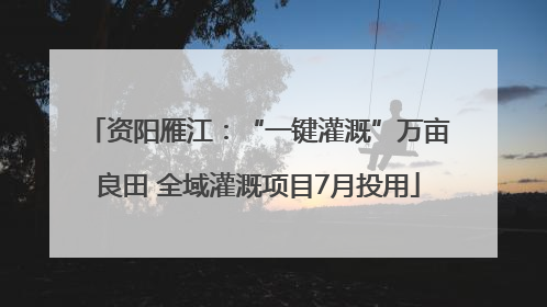 资阳雁江：“一键灌溉”万亩良田 全域灌溉项目7月投用