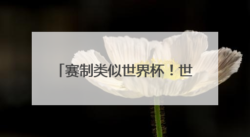 赛制类似世界杯！世俱杯：32队争霸 总奖金10亿美元