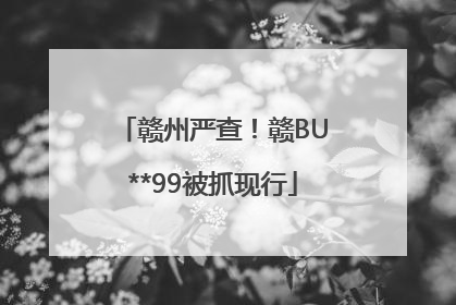 赣州严查！赣BU**99被抓现行