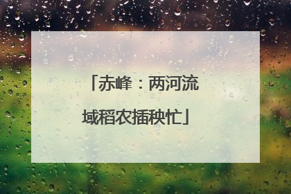 赤峰：两河流域稻农插秧忙