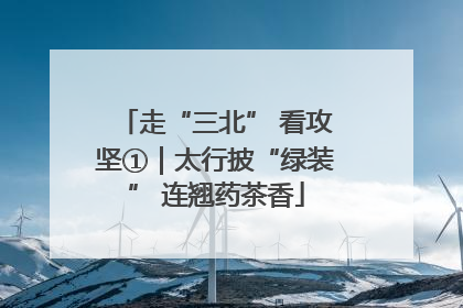 走“三北” 看攻坚①｜太行披“绿装” 连翘药茶香