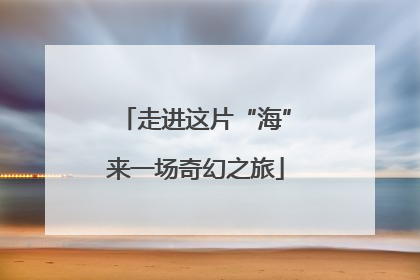 走进这片“海”来一场奇幻之旅