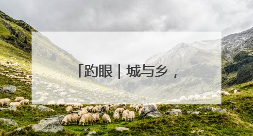 趵眼｜城与乡，济南如何写好“共荣”大文章？