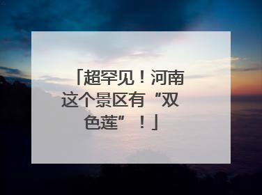 超罕见！河南这个景区有“双色莲”！