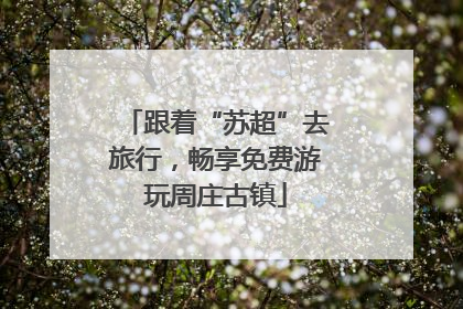跟着“苏超”去旅行，畅享免费游玩周庄古镇