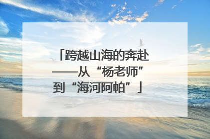 跨越山海的奔赴——从“杨老师”到“海河阿帕”