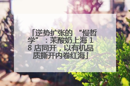 逆势扩张的 “慢哲学”：茉酸奶上海 18 店同开，以有机品质撕开内卷红海