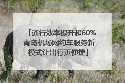 通行效率提升超60% 青岛机场网约车服务新模式让出行更便捷