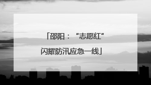 邵阳：“志愿红”闪耀防汛应急一线