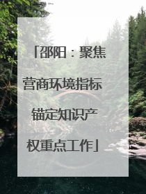 邵阳：聚焦营商环境指标 锚定知识产权重点工作
