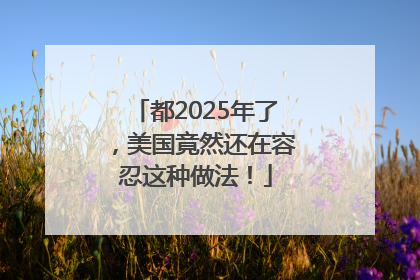 都2025年了，美国竟然还在容忍这种做法！