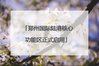 郑州国际陆港核心功能区正式启用