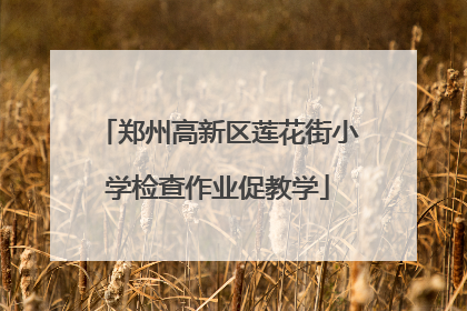 郑州高新区莲花街小学检查作业促教学
