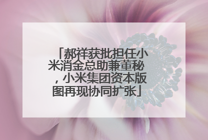 郝祥获批担任小米消金总助兼董秘，小米集团资本版图再现协同扩张