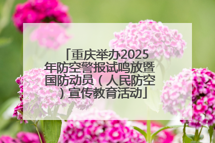 重庆举办2025年防空警报试鸣放暨国防动员（人民防空）宣传教育活动