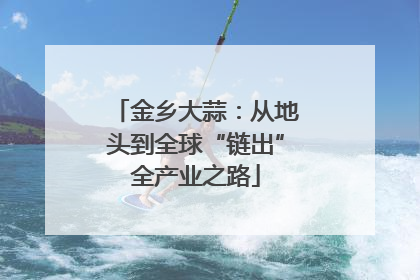 金乡大蒜：从地头到全球“链出”全产业之路